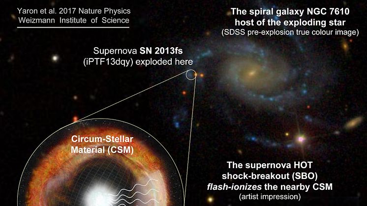Supernovan SN 2013fs exploderade i en spiralarm i galaxen NGC 7610. Ljuset från supernovan lyser upp den omkringliggande gasen som stjärnan tidigare kastat ut, och signalen kunde rekordsnabbt fångas upp av Keck-teleskopet på Hawaii. Bild: Ofer Yaron.