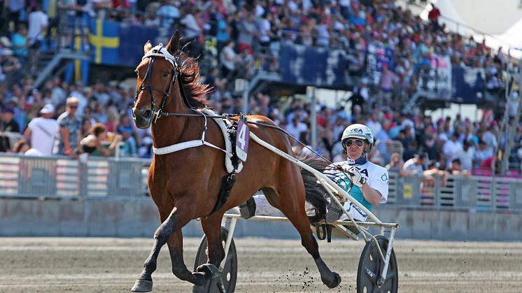 Double Exposure inför Lady Snärts lopp - Stoeliten 2018. Foto: Matilda Öhrman/TR bild