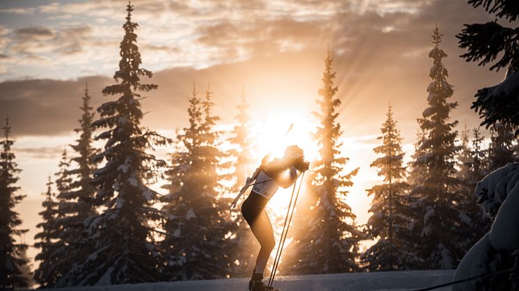 Årets julehilsen fra president Arne Horten, skrevet i Os i Østerdalen, julen 2019. Foto: Sondre Eriksen Hensema