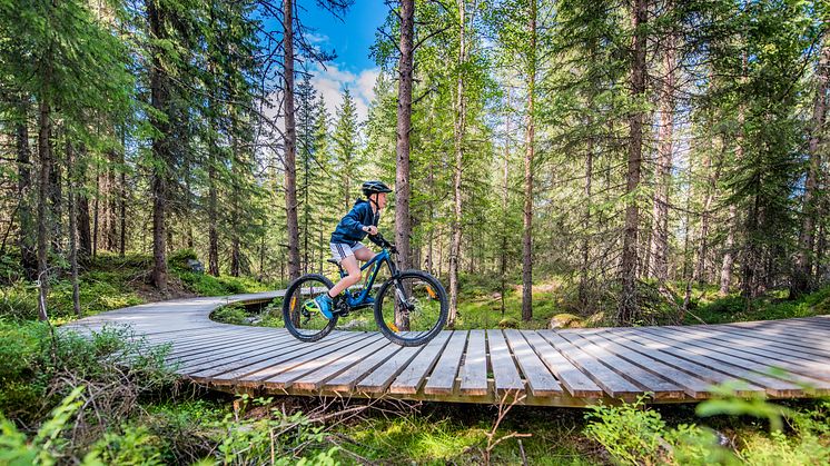 Serious fun with GT Bicycles in Trysil Bike Arena