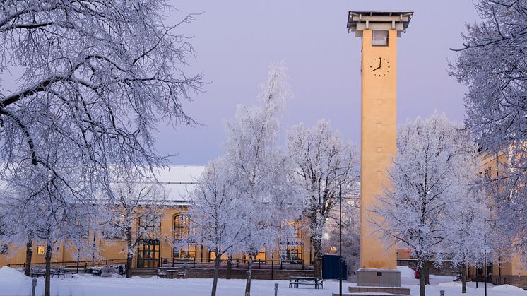 Terminsstart vid Högskolan i Skövde