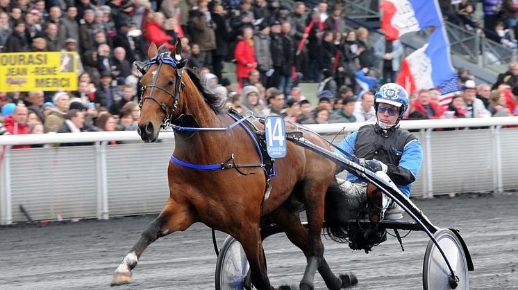 Timoko (Frankrike) fick första inbjudan till Elitloppet 2013