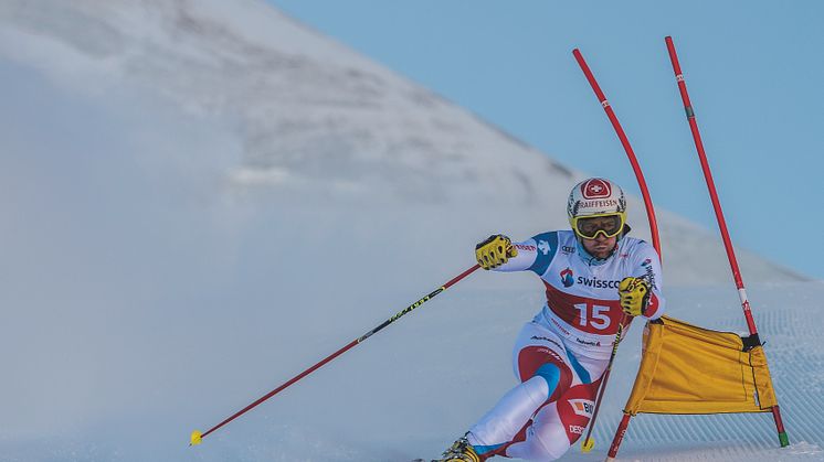 FIS Telemark