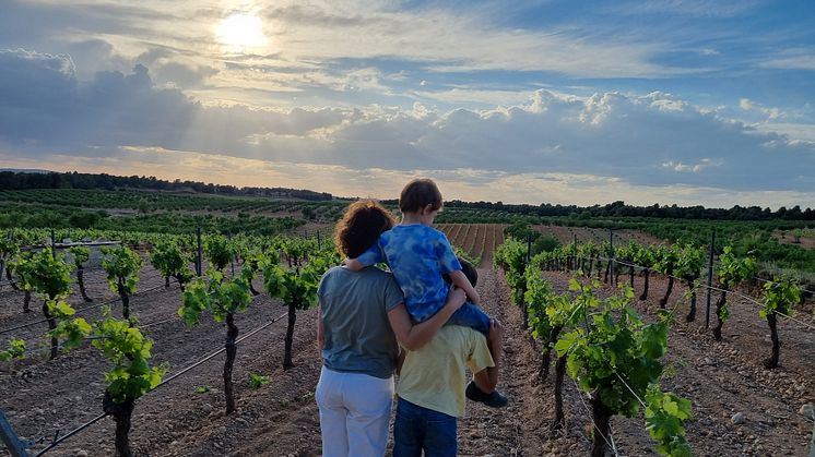 En familie nyder udsigten over en af Tierra Bobals skønne vinmarker