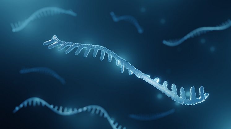 MicroRNA as biomarkers of coeliac disease