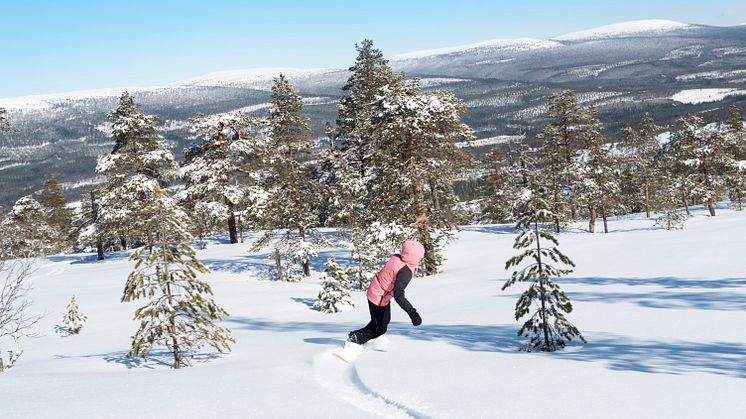  Stöten i Sälen har 21 liftar och 47 nedfarter. Mormors störtlopp är Dalarnas- och Sälens längsta nedfart med 3 060 meter åkglädje.