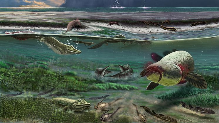 Konstnärlig tolkning av hur det kan ha sett ut i Sosnogorsklagunen för 372 miljoner år sedan. Konstnär: Mikhail Shekhanov för Ukhta Museum of Local History