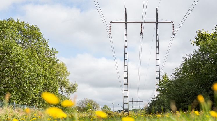 Svebios synpunkter på regeringens proposition om nya energipolitiska mål