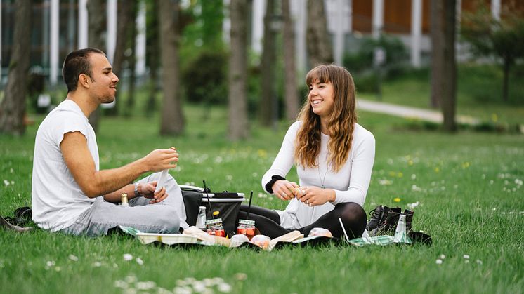 Picknick wird im Seenland Oder-Spree groß geschrieben. Foto: TMB-Fotoarchiv/Steffen Lehmann. 