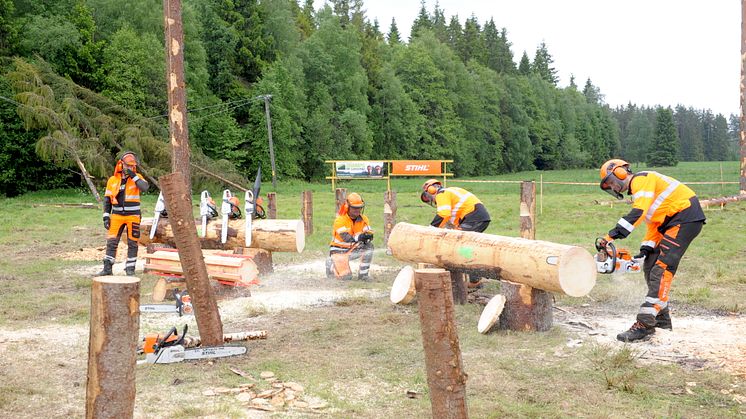 Sågspånen flyger och skämten haglar när Champs of Logging säkerhetsshowar på Elmia Wood. Foto: Elmia AB