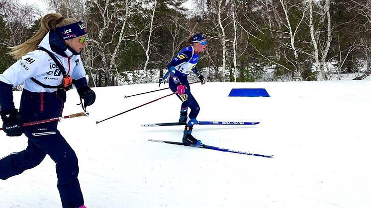 Trener 3 kurs i skiskyting - frist 20. august