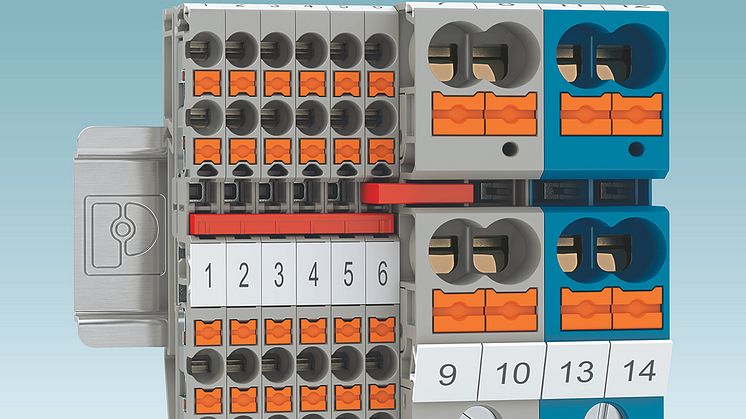 Compact potential collective terminals with screw and Push-in connection