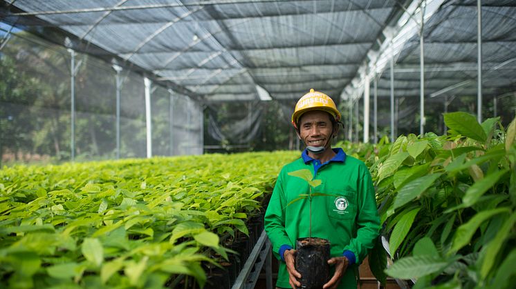 Cocoa Life_farming_Indonesia_07