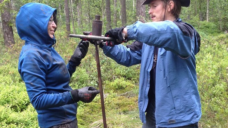 Barbara Wohlfahrt och Frederik Schenk under fältarbete i Hässeldala – en av lokalerna som använts i studien. Fossila växt- och insektsrester från sjösediment bidrog till rekonstruktionen av sommartemperaturer under Yngre Dryas. Foto: Laura Parducci