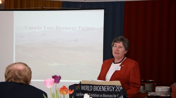 Över 60 diplomater från 29 länder på tebjudning om World Bioenergy 2008