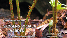 Ny bok om skogens sociala värden 