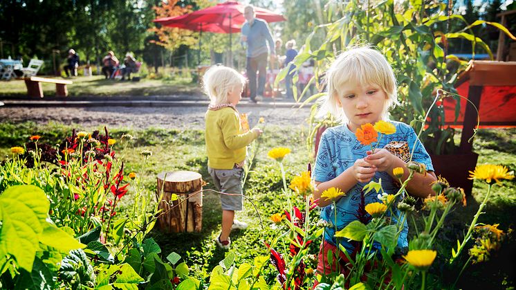 Folkets Trädgård – mötesplatsen för ett hållbart samhälle