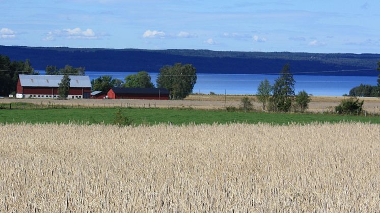2017-04-05 Vatten och mark för klimatanpassad livsmedelsproduktion. Foto: Ylva Nordin