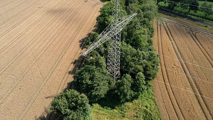 110-kV-Leitung Cloppenburg.jpg