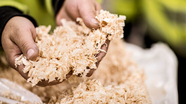 Norra Skog investerar 40 miljoner i spånbalning i Kåge – tar nästa steg i hållbar träförädling