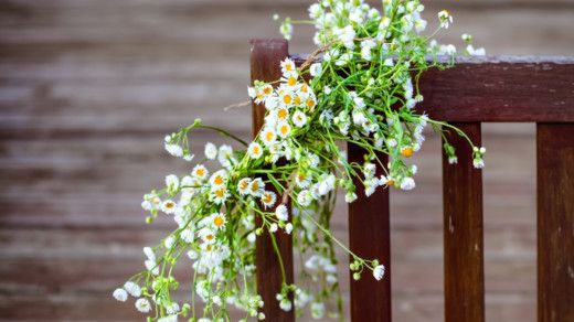 Fira midsommar i kunglig miljö