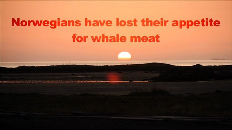 Nordmænd gider ikke længere spise hvalkød, 2011