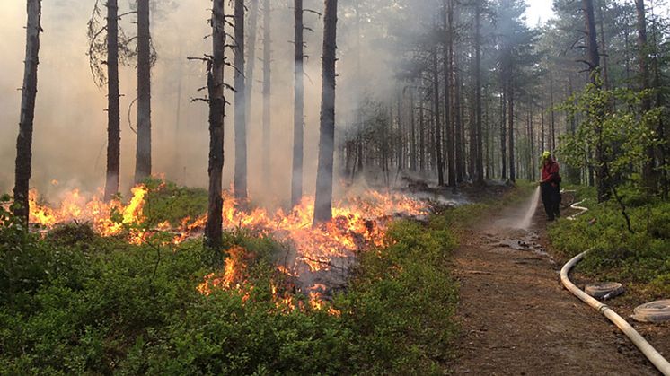 Bränningen är noga planerad och sker i ett område som dels har naturliga gränser av vatten och vandringsled, dels gränser som bevattnas under bränningen.