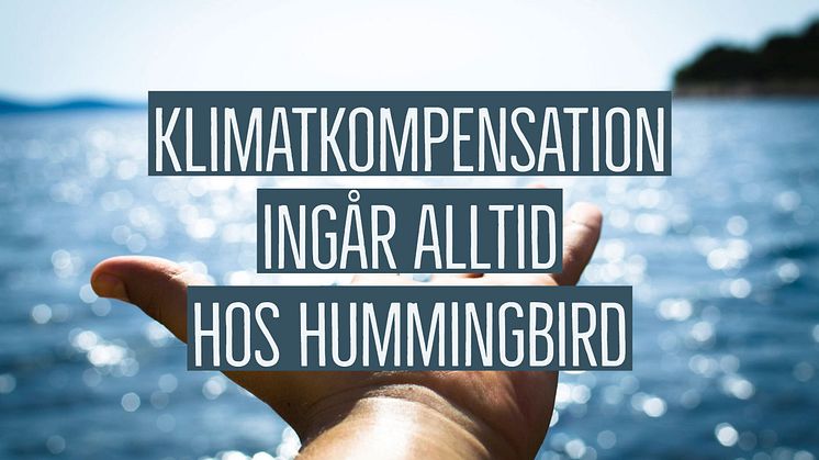 Frivillig klimatkompensation av konferensresan fungerar inte