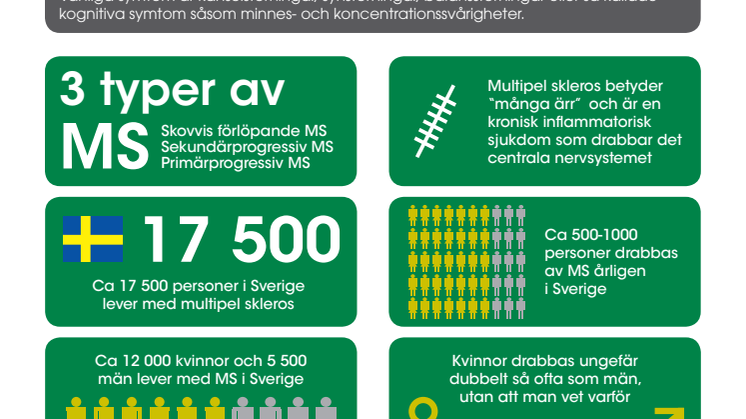 Infografik om Multipel Skleros