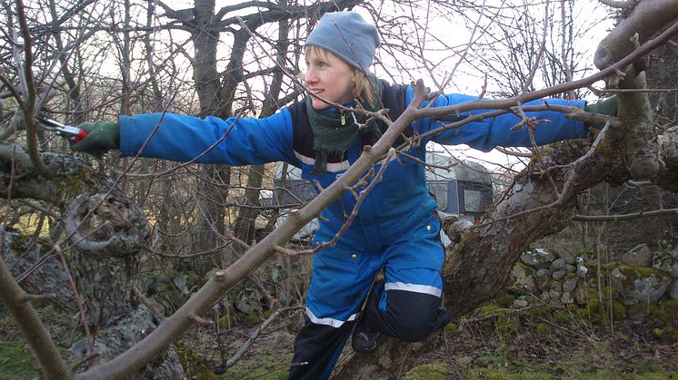 Renare vatten med ekologisk produktion