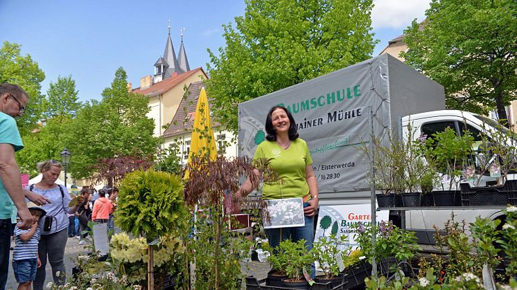 Frühlings- und Genussmarkt in Delitzsch - Foto: Christian Maurer/Stadt Delitzsch