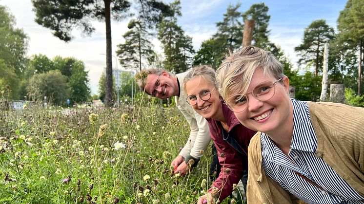 Västerås stad får Kommunpriset för sitt arbete med Malmaberg matskog