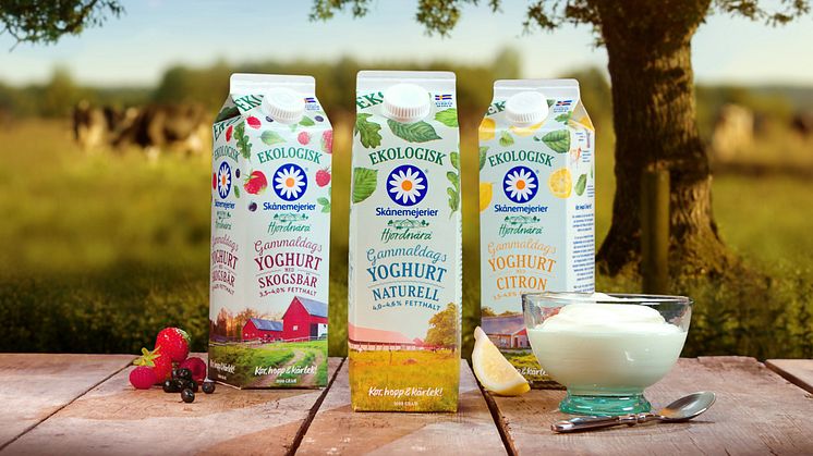 Hjordnära lanserar gammaldags yoghurt med naturlig fetthalt