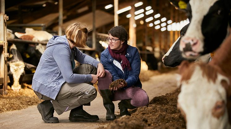 Nachhaltige Milchwirtschaft: Bereits 90 Prozent der Arla Genossenschaftsmitglieder nehmen am neuen Arla Klima-Check-Programm teil