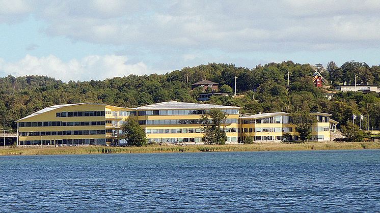 Hogia går mot trenden – fortsätter växa trots orolig omvärld 