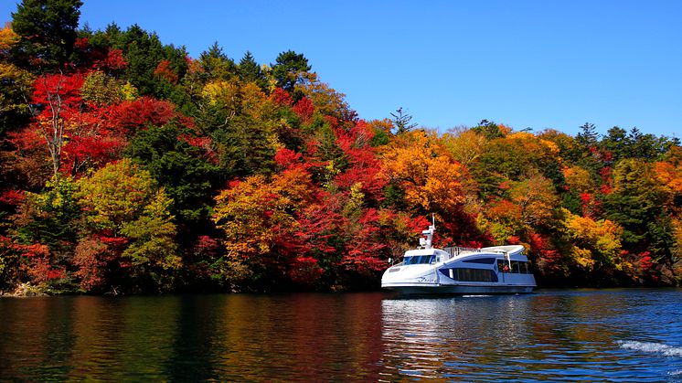 【Tokyo Area Autumn Leaves】Take a Short Trip from Tokyo:Popular and Picturesque Autumn Spots You Can Reach in Just 2-3 Hours