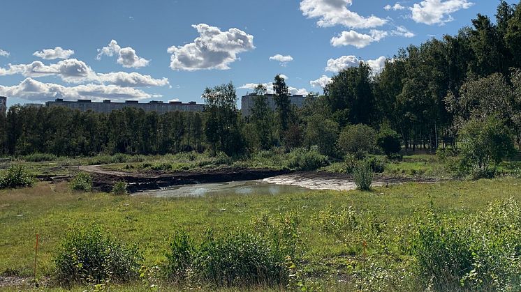 Vattenfylld schaktgrop i Igelbäckens kulturreservat. Här ska två reningsdammar på över 30 000 kvadratmeter byggas för lakvatten från gravarna, förorenat vatten från tippen och dagvatten från begravningsplatsen. I bakgrunden Tensta.