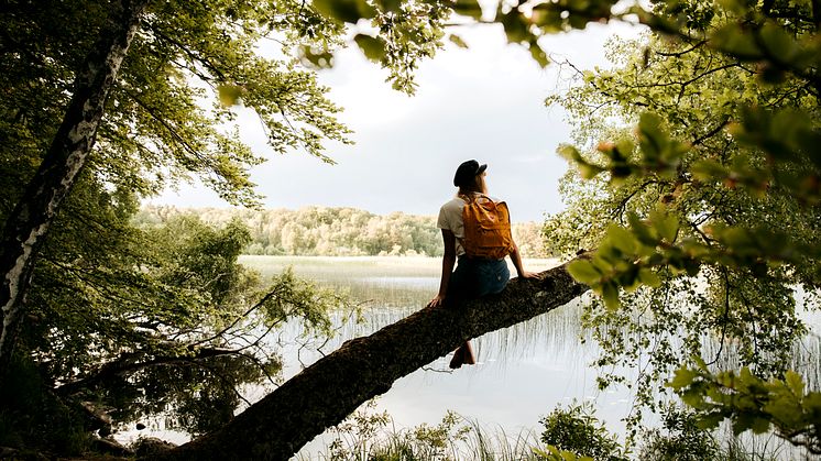 Visit South Sweden ska locka danskar till södra Sverige efter pandemin