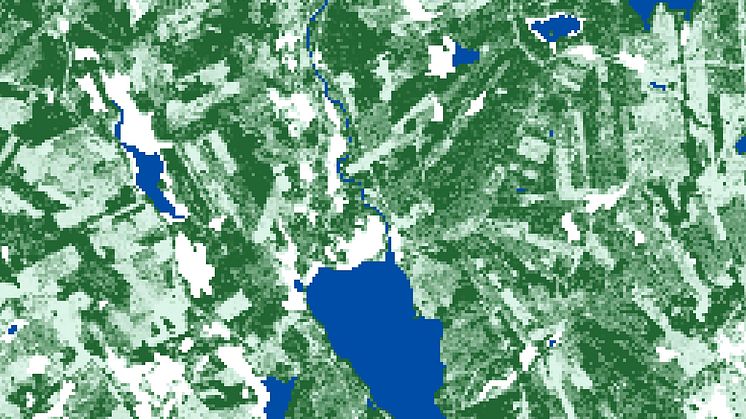 Ny digital skogskarta från SLU