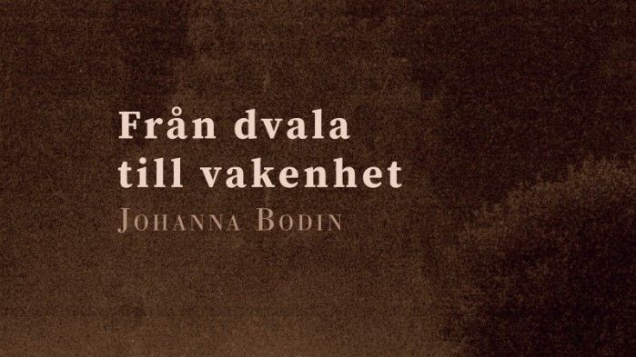 Att observera utifrån och känna inifrån: poesi av ﻿Johanna Bodin