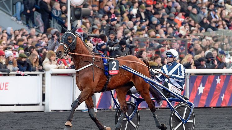 Inbjuden och klar för sista söndagen i maj förra året – men då blev han tvungen att tacka nej. Men i år får vi se Horsy Dream i Elitloppet för allra första gången. Foto: TR Bild