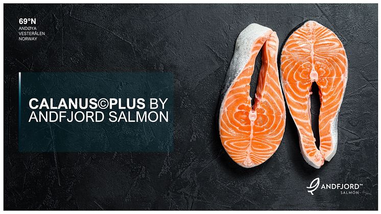 «CALANUS® Plus by Andfjord Salmon» består av fôringredienser som har bevist god effekt innen landbasert lakseoppdrett. 