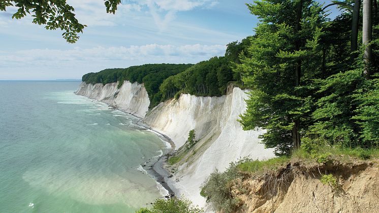 Nationalpark Jasmund: vy från Kollicker Orts utsiktsplats. FOTO: Peter Lehmann/Nationalpark-Zentrum KÖNIGSSTUHL