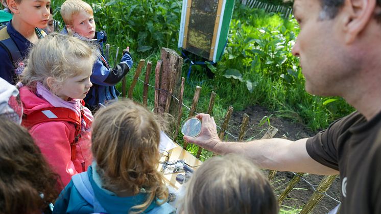 „Tag der kleinen Forscher“ 2019 – Kinder erforschen in Louisenlund die Welt des Kleinen