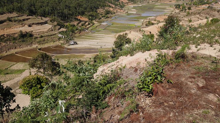 Landskap - Madagaskar