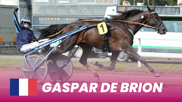 Gaspar De Brion