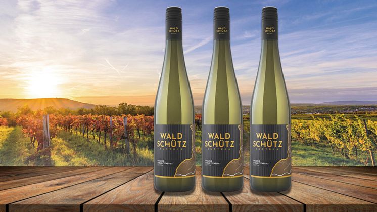 Sverigepremiär för Waldschütz Riesling Strass Venesse 2020 från DAC-området Kaptal i Österrike.