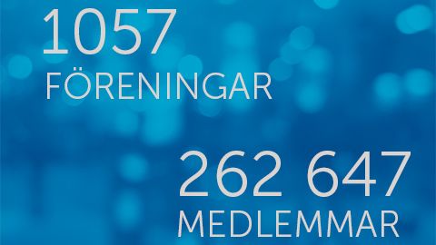 Svensk Gymnastik erbjuder rörelseglädje i hela landet genom hela livet 