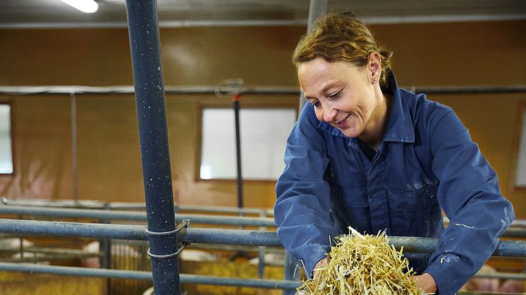 Böndernas egna ord om svenskt kött - Jeanette Elander, Äs gård Västerås
