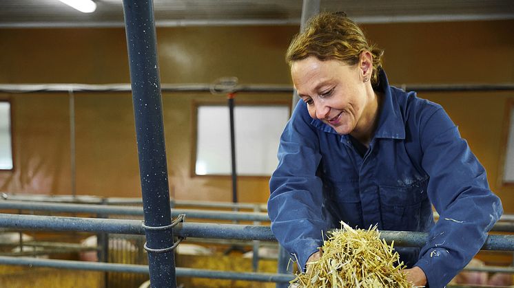 Böndernas egna ord om svenskt kött - Jeanette Elander, Äs gård Västerås